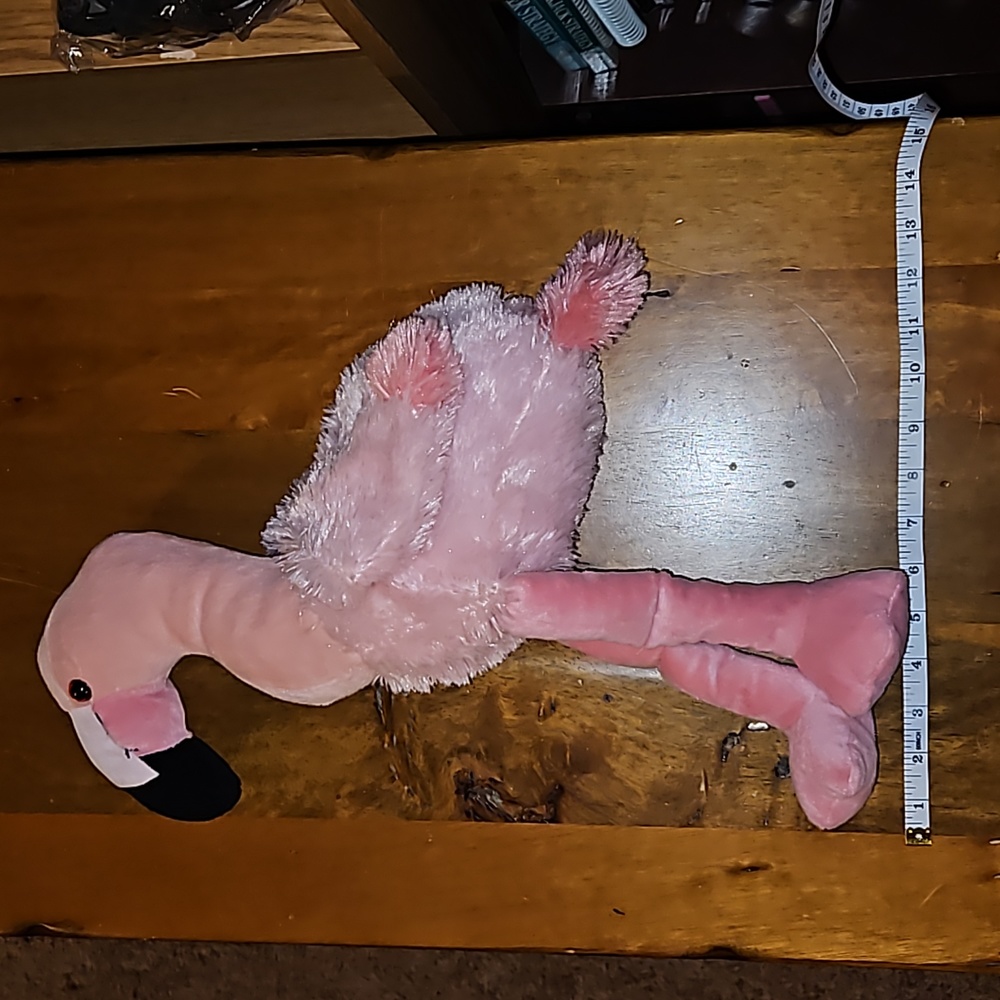 Flamingo - Picture 5 of 5